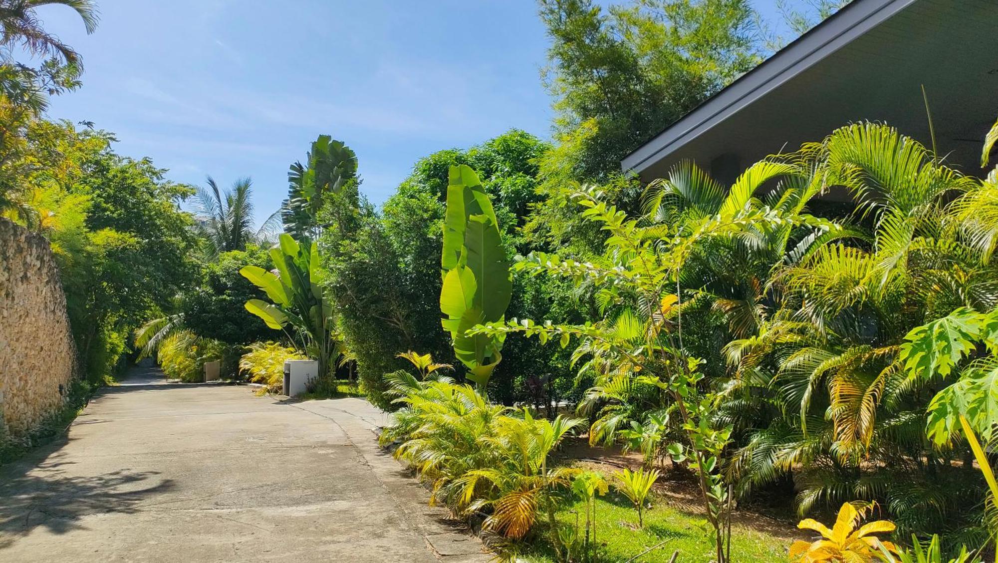 Baan Sawadee Villa Ko Samui Extérieur photo